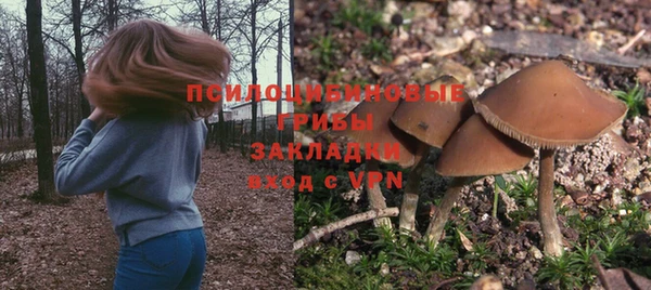 хмурый Кинешма