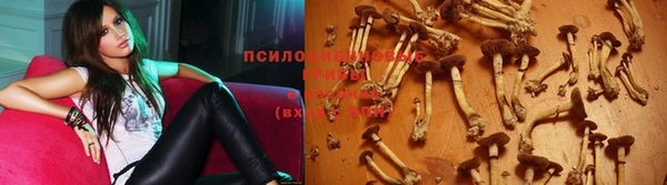 прущий лед Киреевск