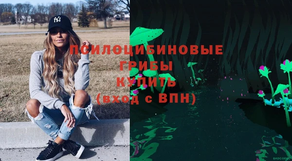 а пвп мука Козловка