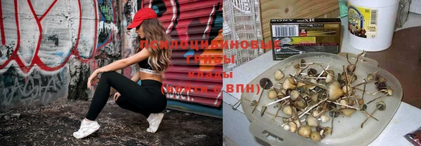 MDMA Снежногорск